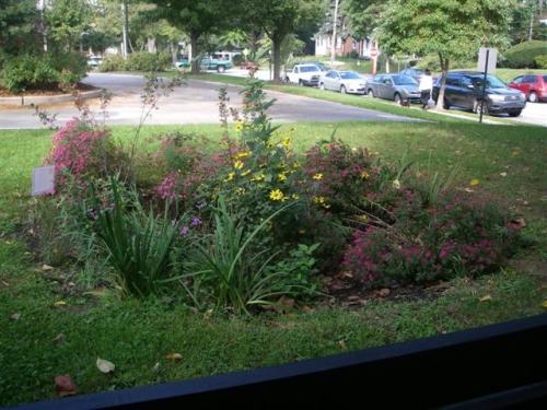 Media Borough Rain Garden