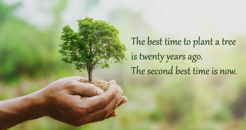 The best time to plant a tree is twenty years ago. The second best time is now.